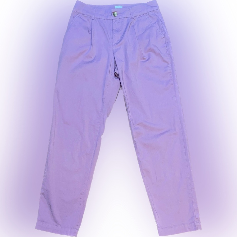 A NEW DAY Size 4 Women’s Hiking Pants Purple